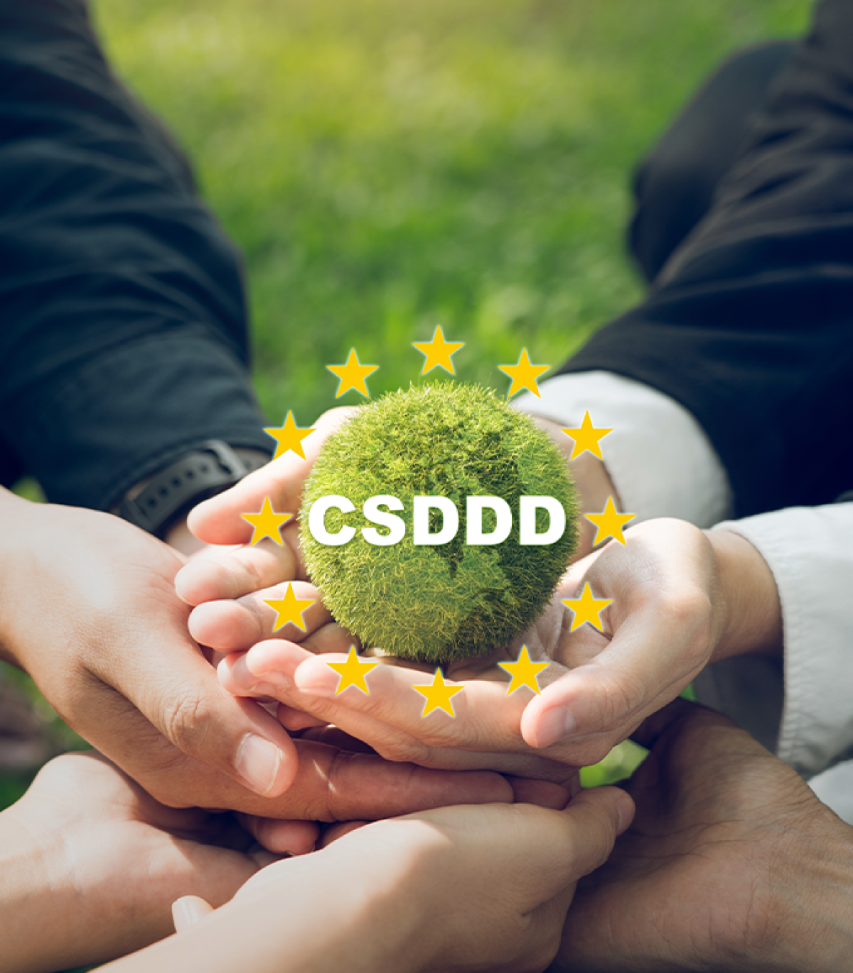 CSDDD