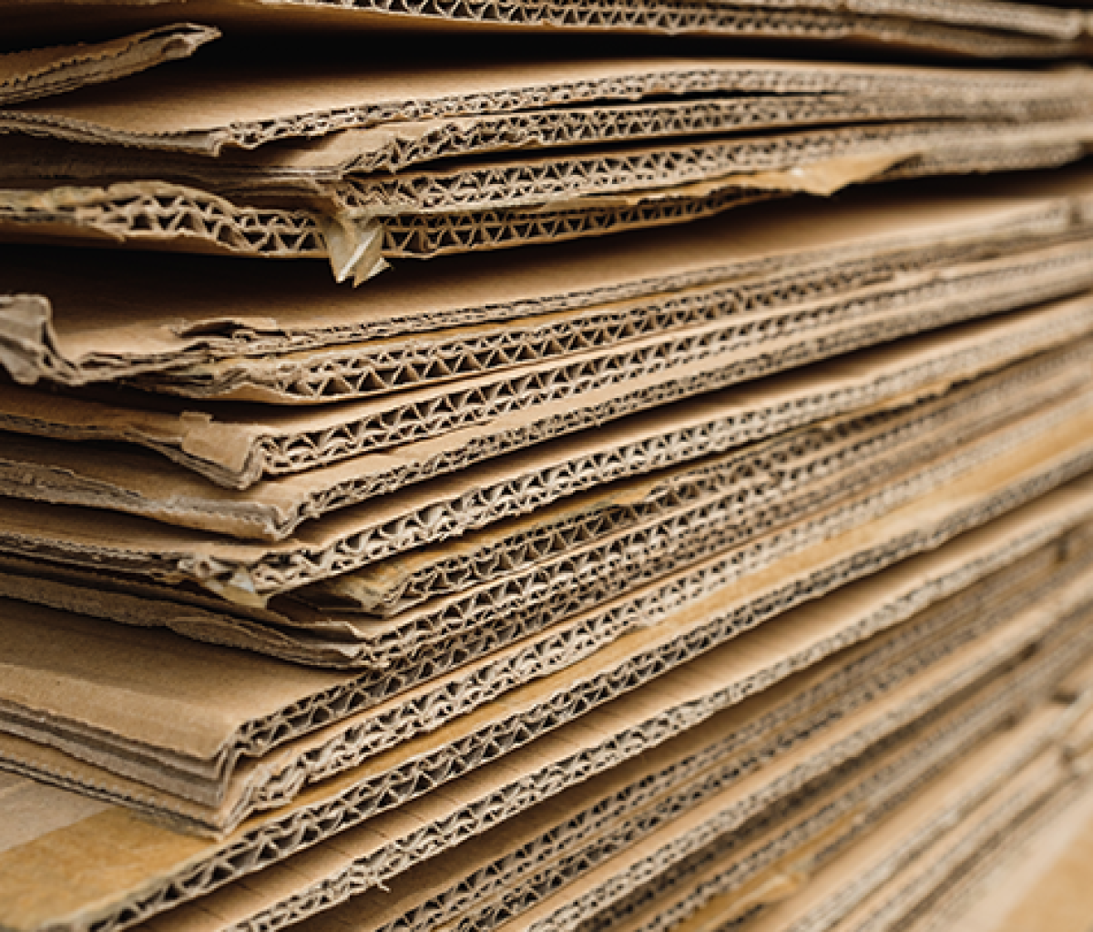 Packaging activities within scope